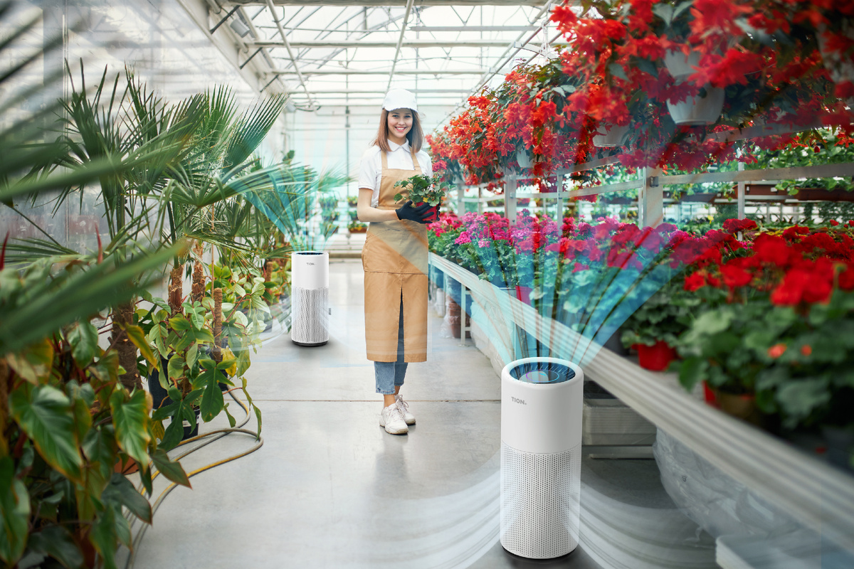 Увлажнитель воздуха TION Iris в оранжерее
