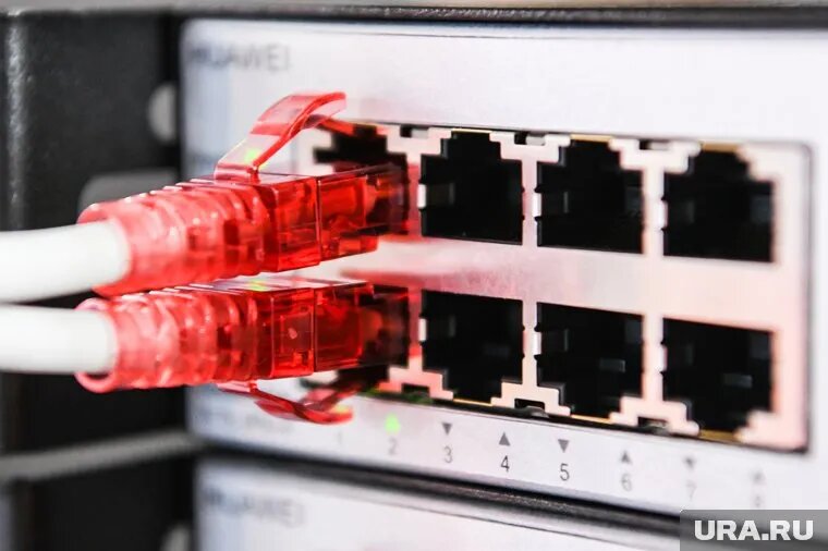 Компания «Северное волокно» проводила интернет-кабель в труднодоступные районы. Фото: Владимир Жабриков © URA.RU