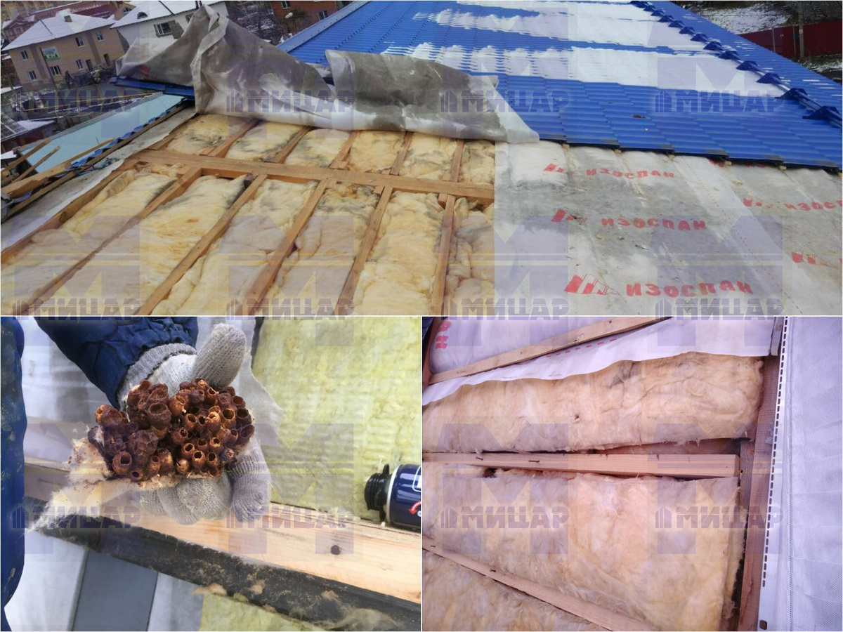 После вскрытия причины проблем стали очивидны.