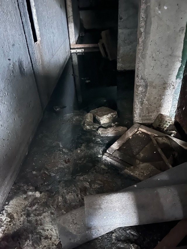 Фото: vk.com/kingisepp_kng / Юрий Федотов