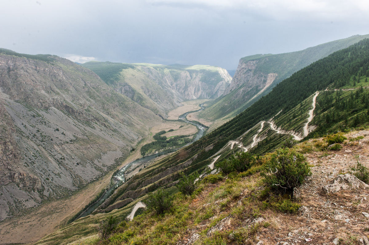 Перевал Кату-Ярык в Алтайском крае. Источник фото: commons.wikimedia.org. Автор: Alexey
