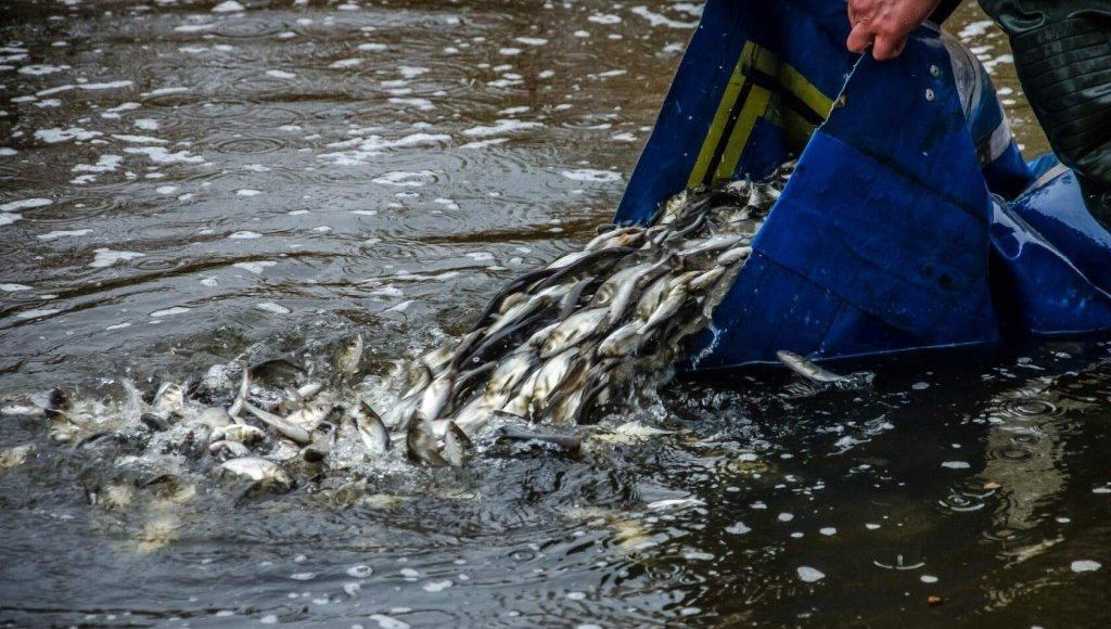    Фото: из открытых источников