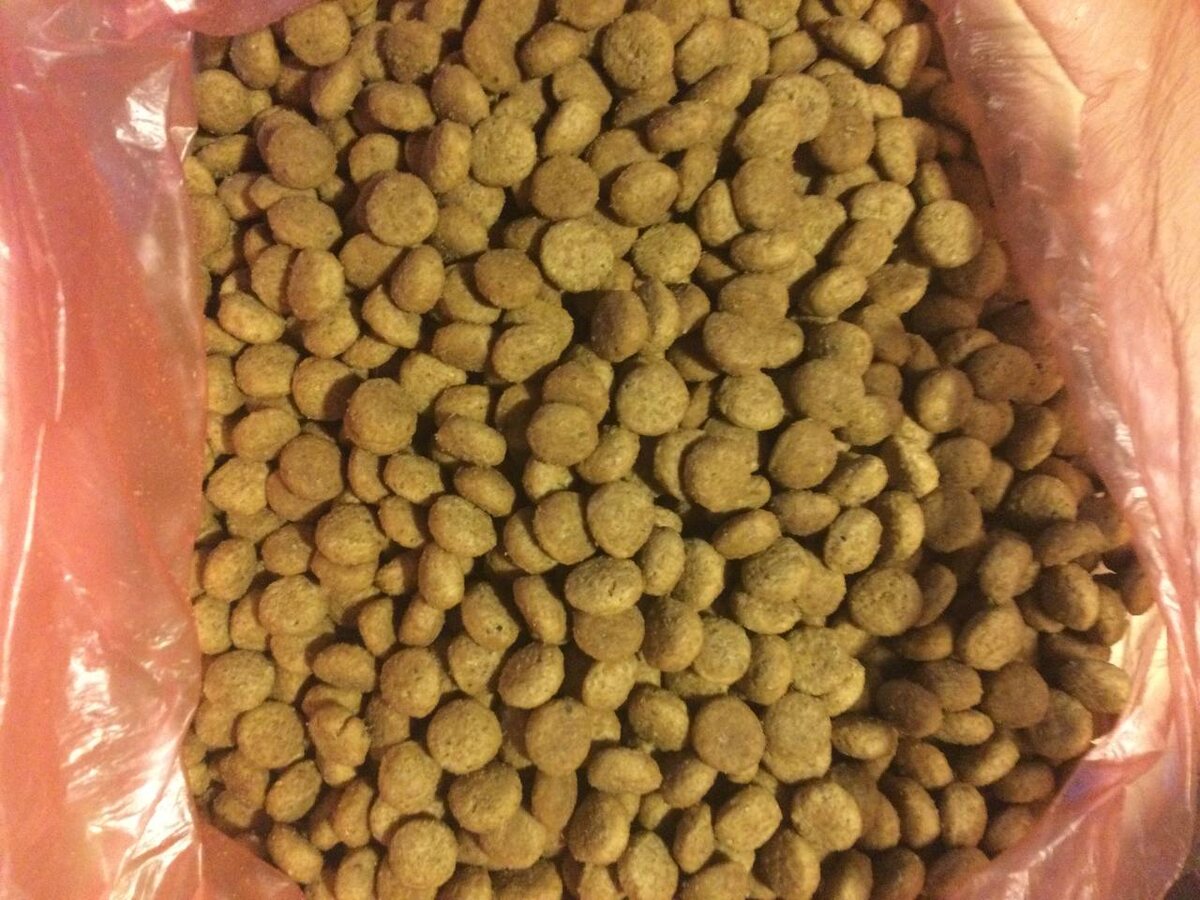    Фото: Мойка78