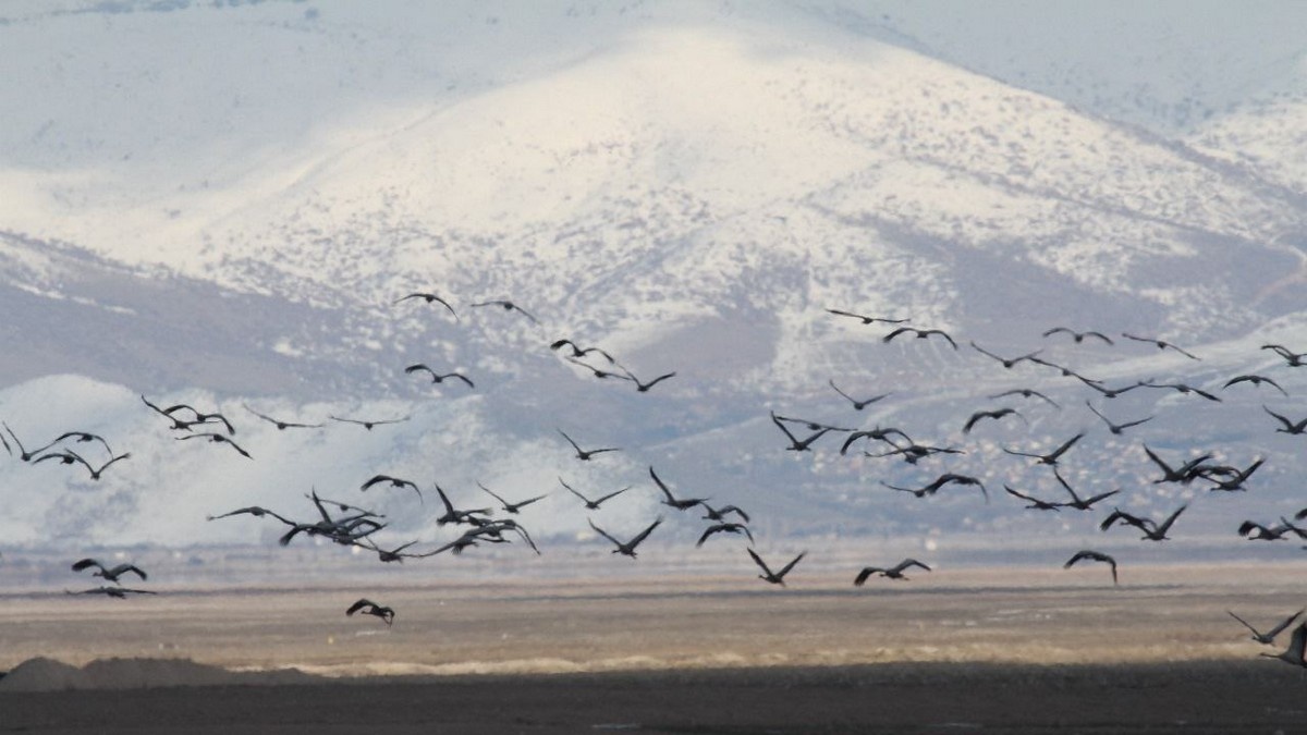 Фото: t.me/oksky_reserve