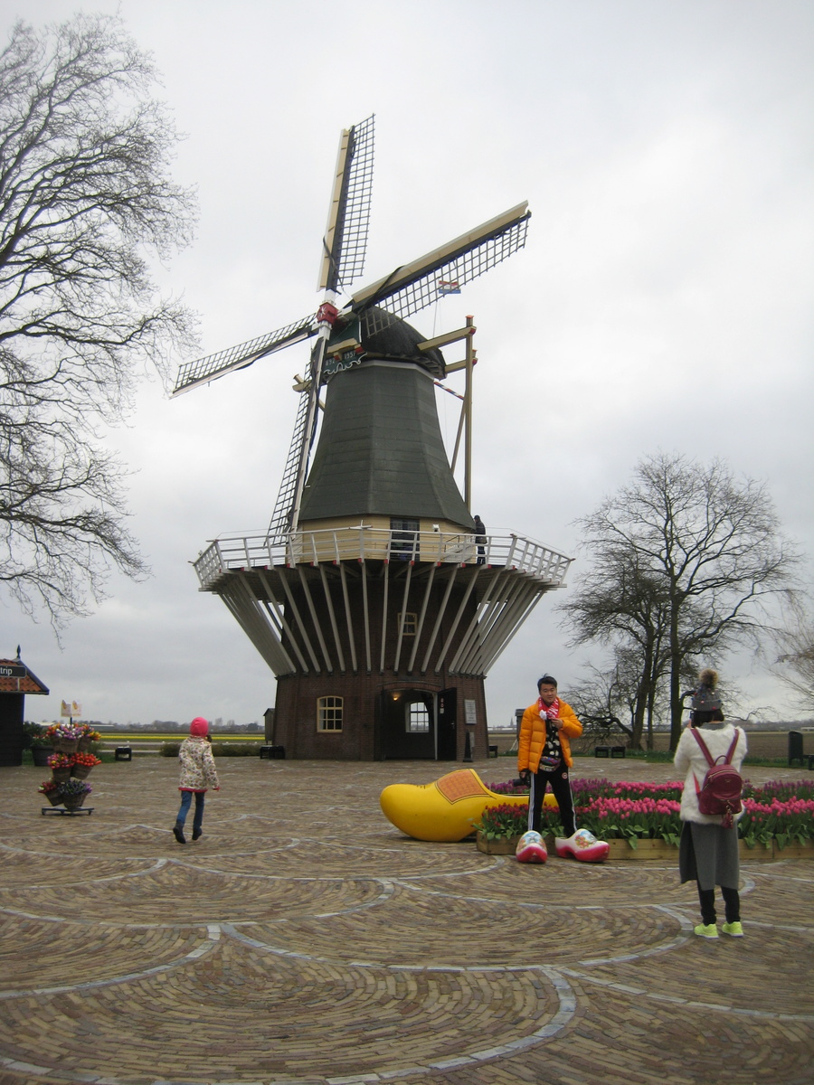 Мельница и кломпы.