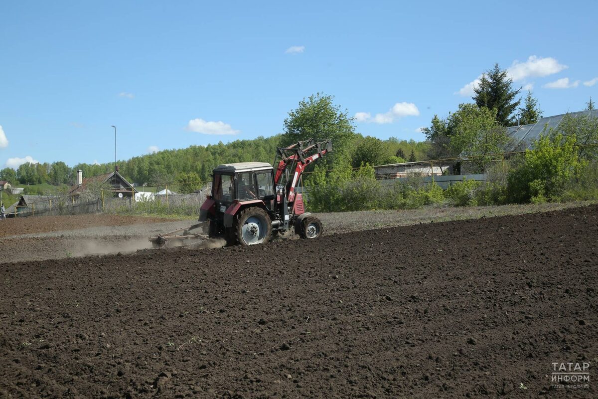 Фото: © Султан Исхаков / «Татар-информ»