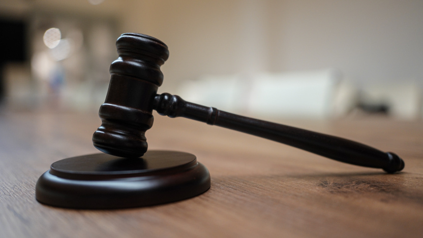    Фото: ИЗВЕСТИЯ/Анна Селина; 5-tv.ru