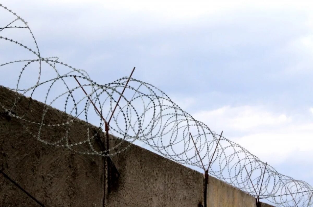    На Дону просят помиловать трёх осуждённых женщин