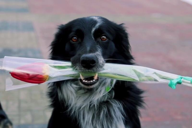    ГУ МВД по Челябинской области