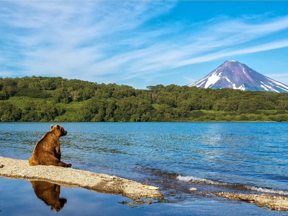 Фото: istockphoto