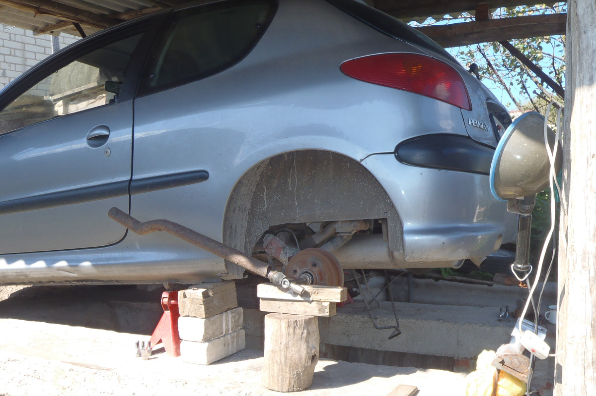 фото автора