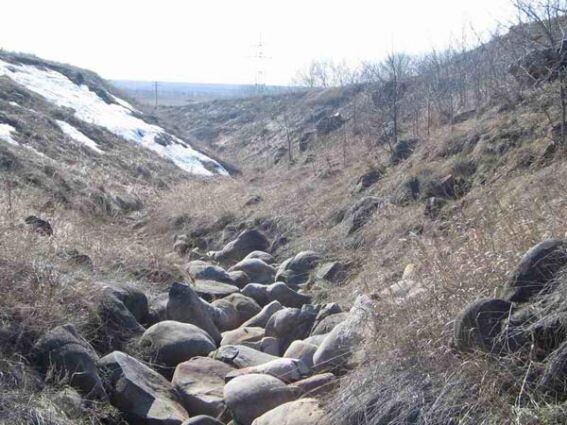 Бесплатные булыжники в овраге