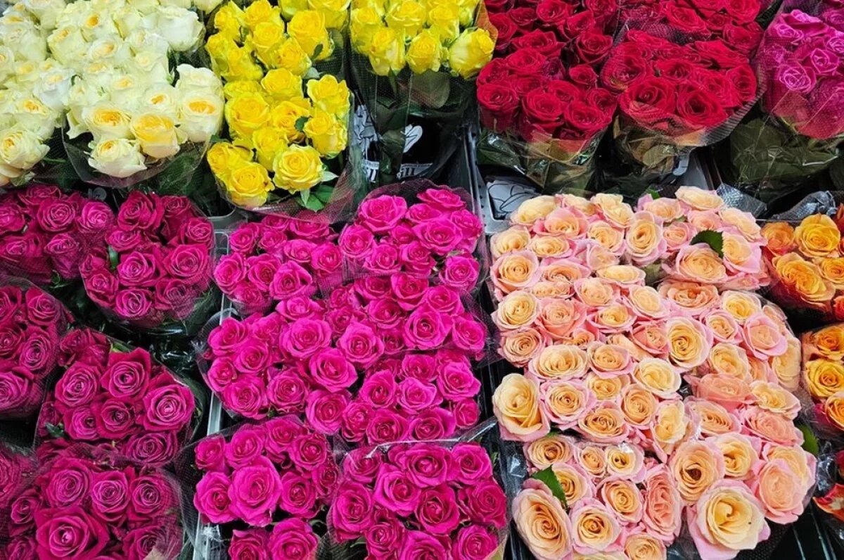    Любовь хулигана за миллион.