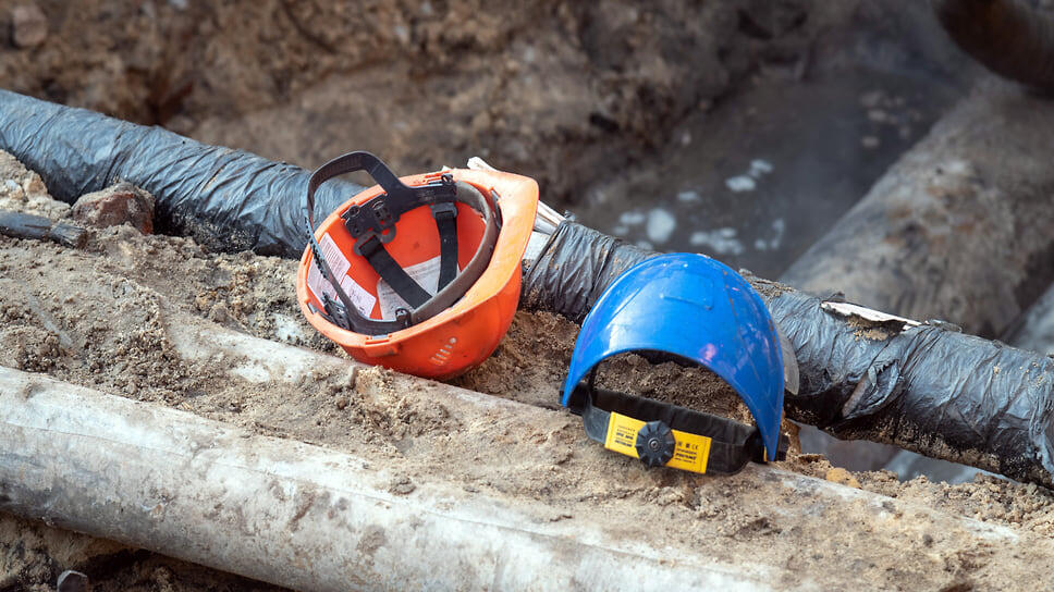 Фото: Олег Харсеев / Коммерсантъ