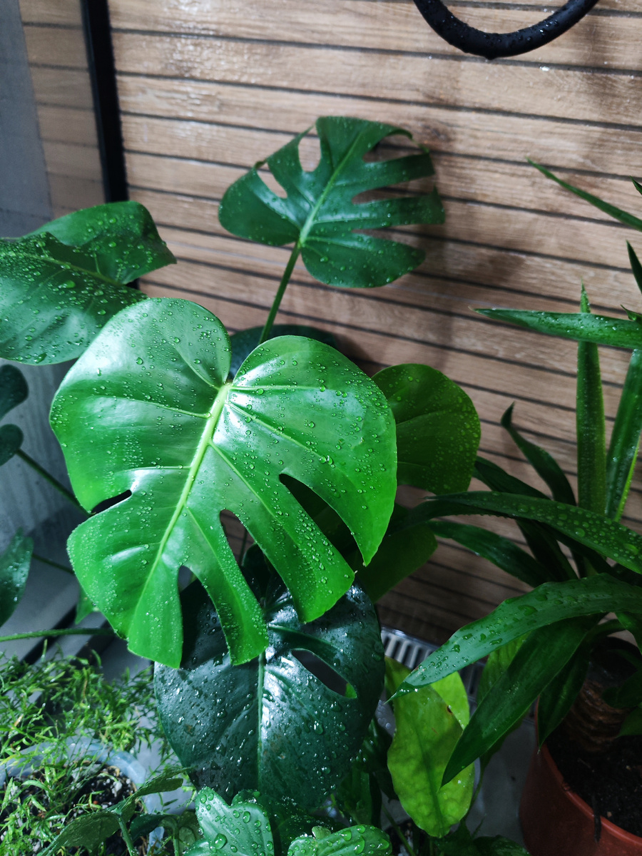 Фото из личного архива.