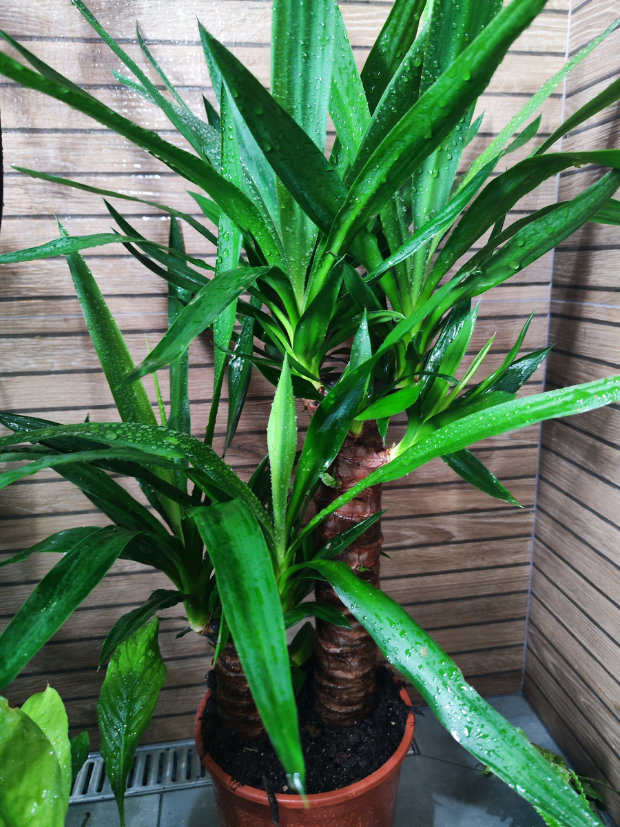 Фото из личного архива.