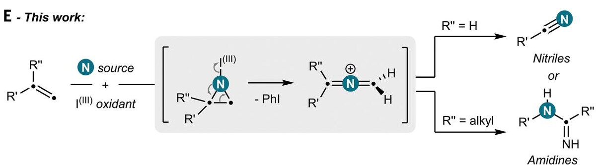   Y. Brägger et al. / Science, 2025