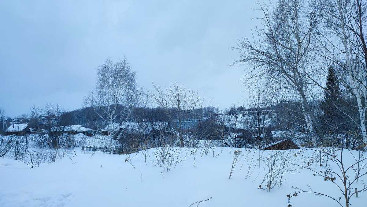 Утро камера телефона увидела вот так. Фильтры не применяла