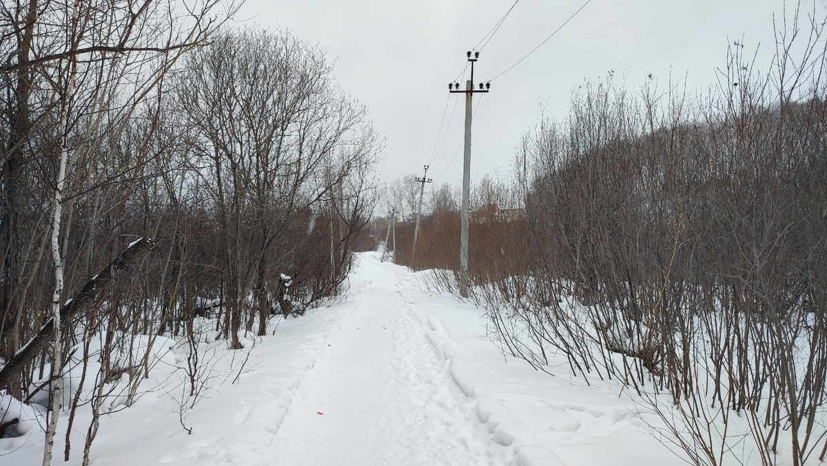 А чуть позже, камера телефона увидела мир вот так. Тоже без фильтров