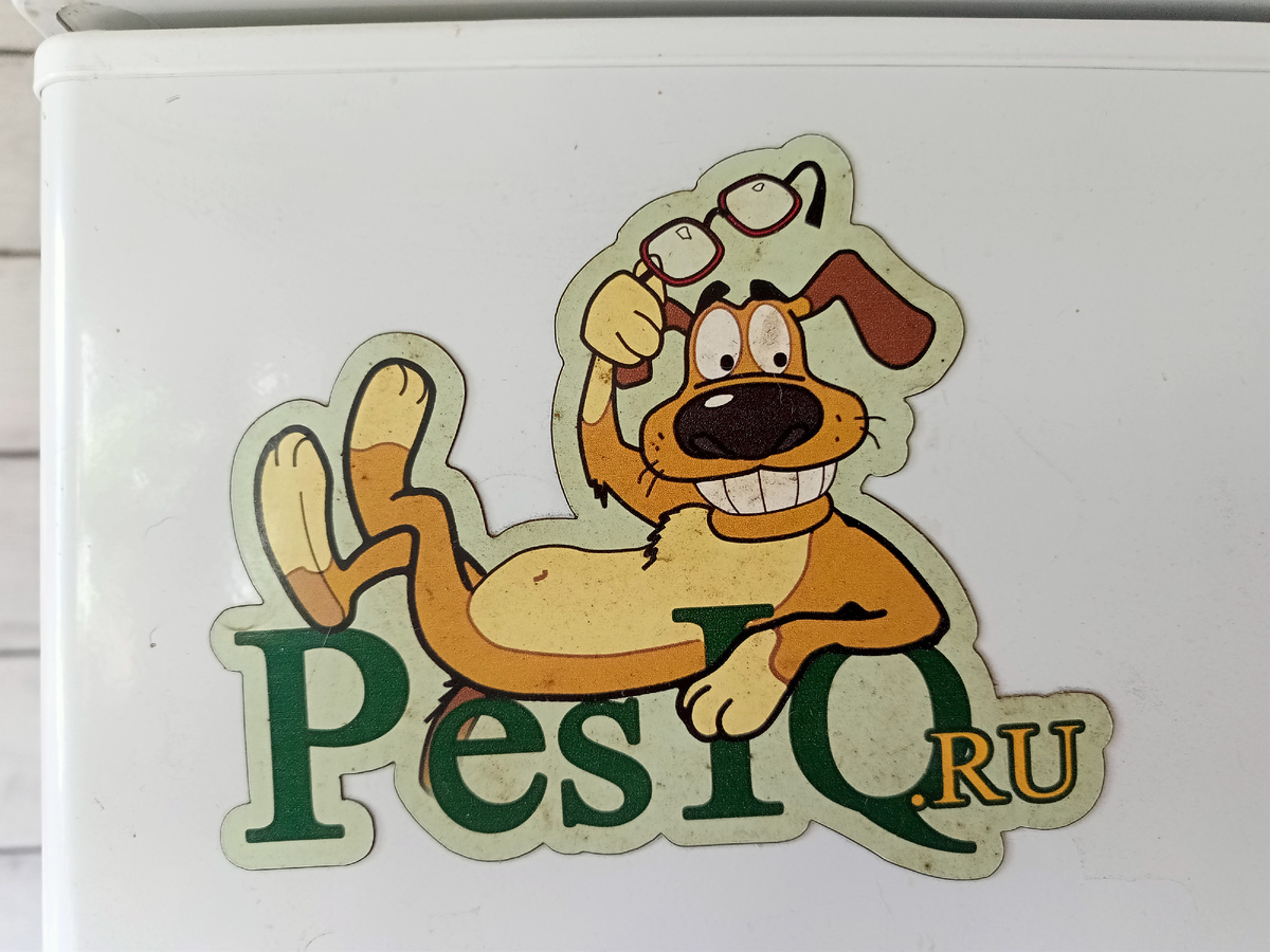 Пёсик назывался форум