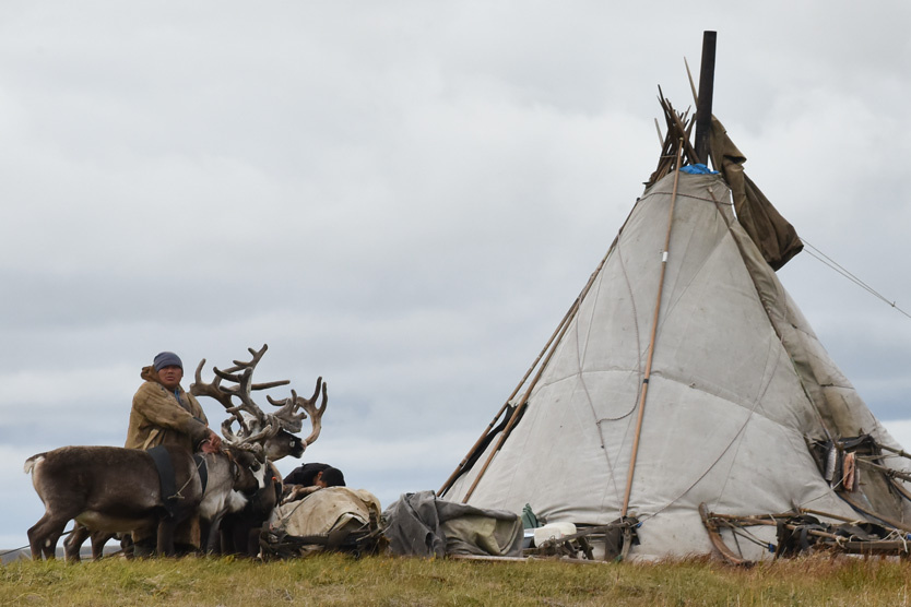    Оленевод у чума   
Фото: Денис Кожевников / ТАСС