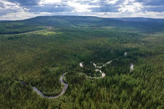 (фото: пресс-служба ПАО "НК"Роснефть")