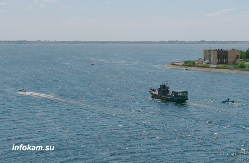    На Камышинке-реке