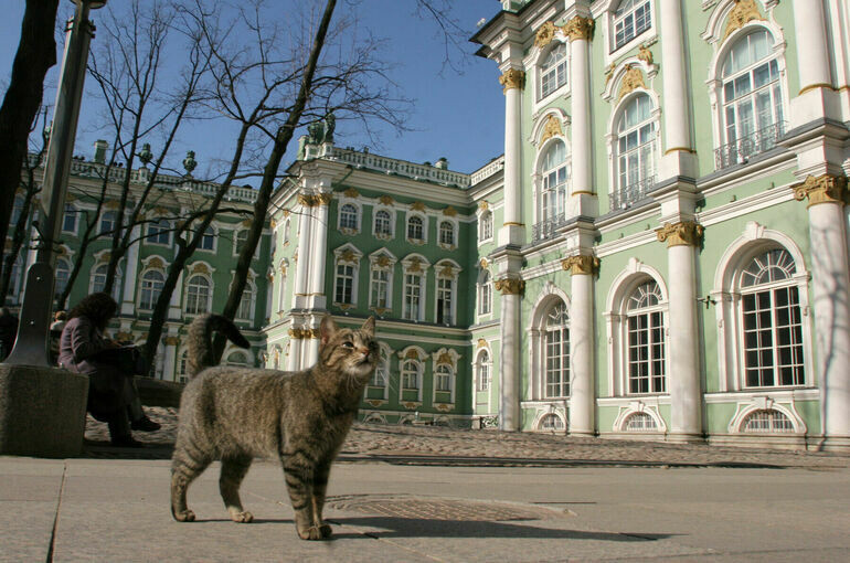   Тимур Ханов/ПГ