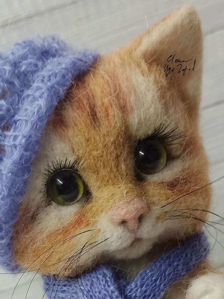 Рыжий котенок с ресничками