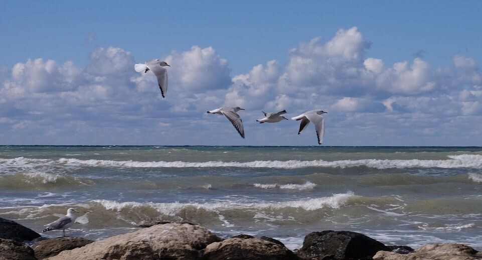    РИА «Новости»