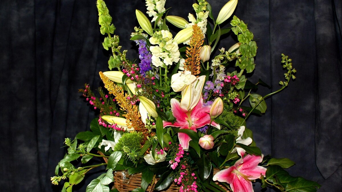 фото из интернета