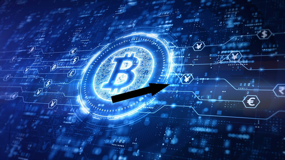    Данные как новая валюта: как изменить правила игры