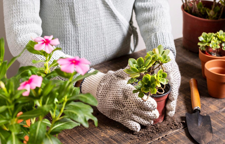 Фото: Freepik.com