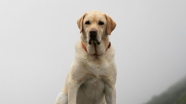 Yannick Wittwer/Unsplash