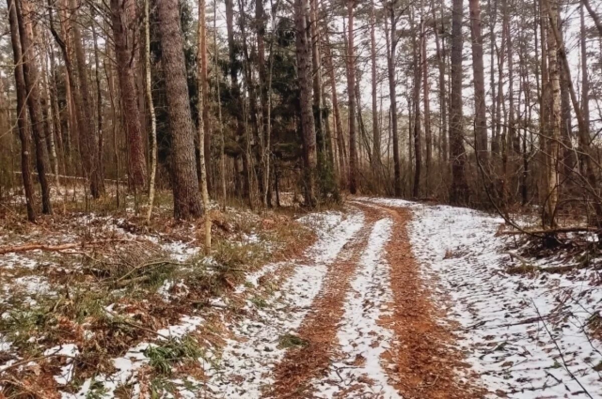    Плюс 18 прогнозируют синоптики в Волгограде