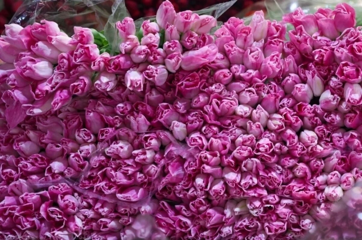    В союзе православных тулячек дали оценку замене 8 марта днём жён-мироносиц