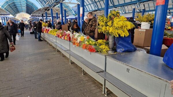    © Sputnik / Александр Жибуль