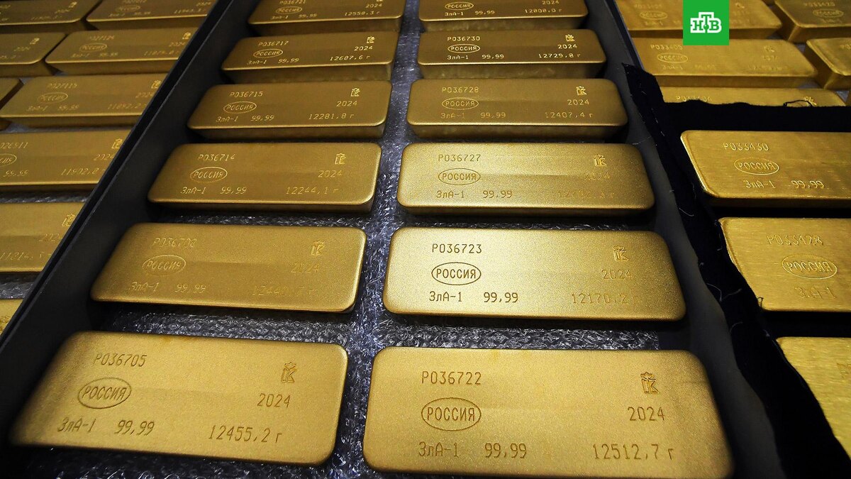    Фото: РИА Новости © 2025, Илья Наймушин