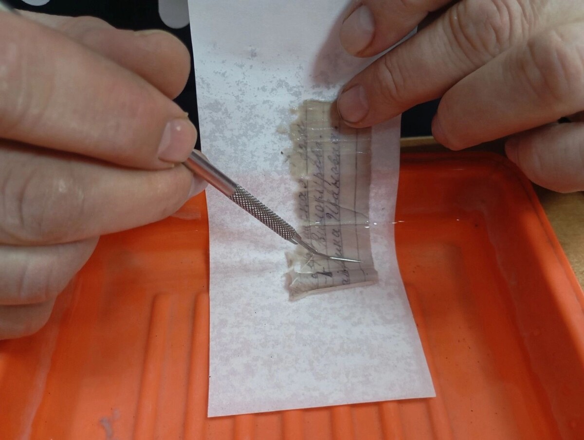     Источник: vk.com/поисковый отряд «Витязь»