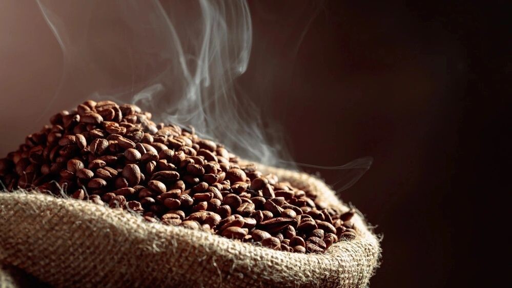    Фото: Igor Normann/Shutterstock/Fotodom