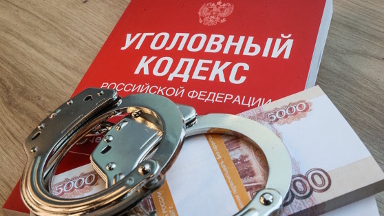    Саша Митрошина задержана по делу об отмывании денежных средств – СКР Богдан Герцен