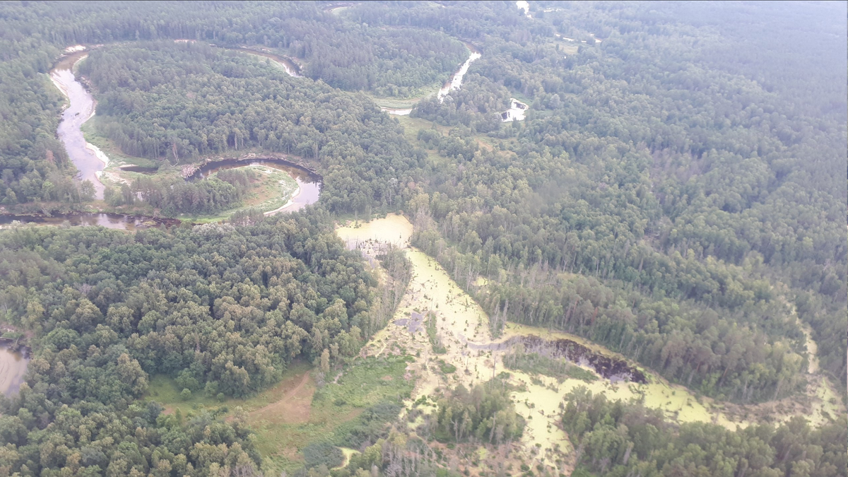 Есть место на реке, где ее от нее же отделяет всего 2 метра, и кое-где уже без деревьев. Конкретно это фото - Илеть, автор А. Бортяков (Кочующие)