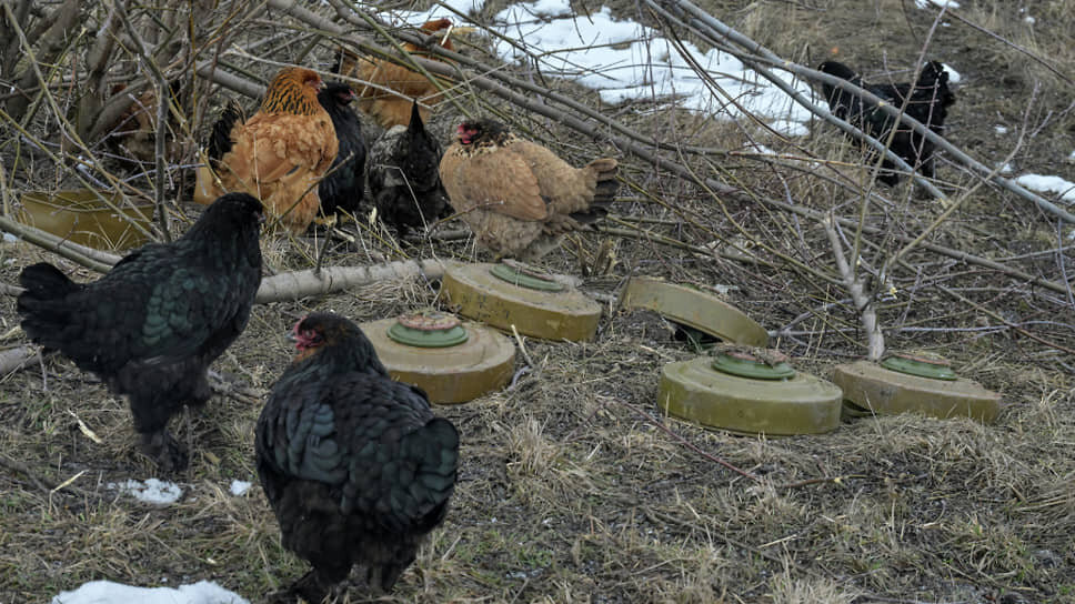 Противотанковые мины в селе Погребки.📷Фото: Евгений Биятов / РИА Новости