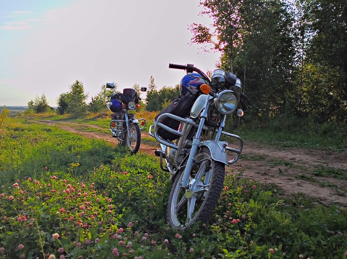 А это мой выбор