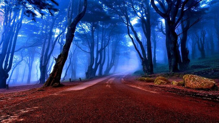 фото из открытого источника