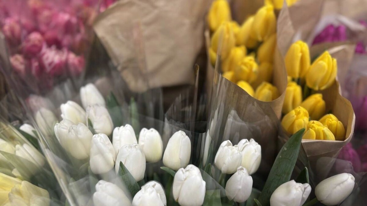     Автор: admkrai.krasnodar.ru