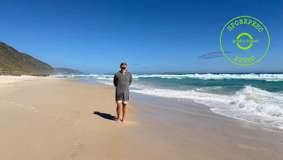 Алексей Венгин, Profi.Travel