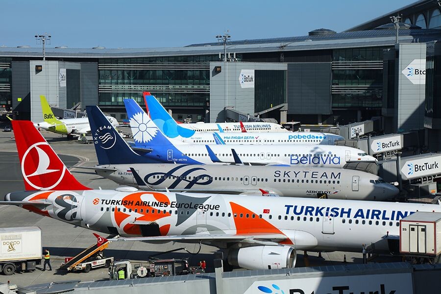    Фото: Tupungato / Shutterstock.com