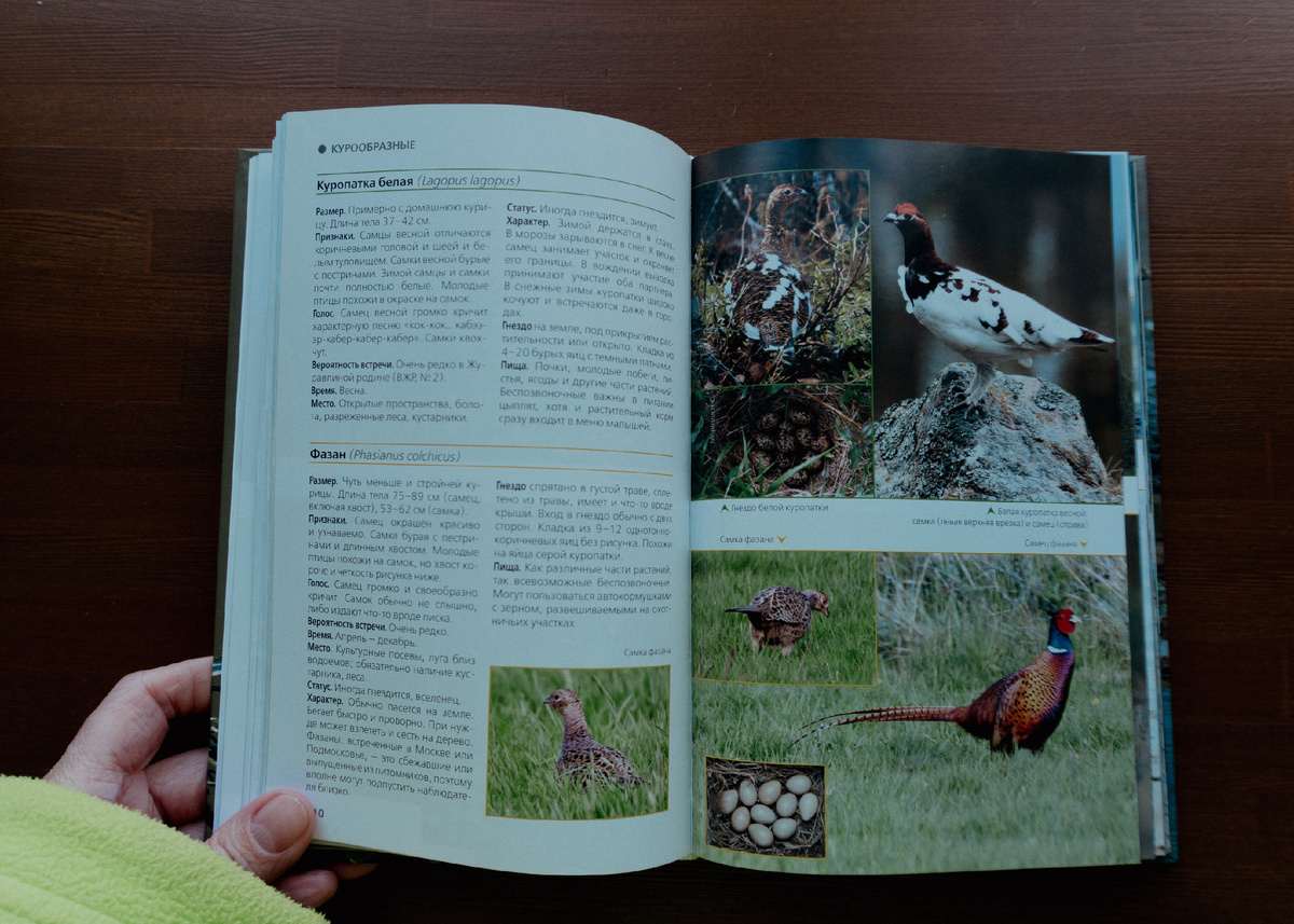 Определитель Вишневского