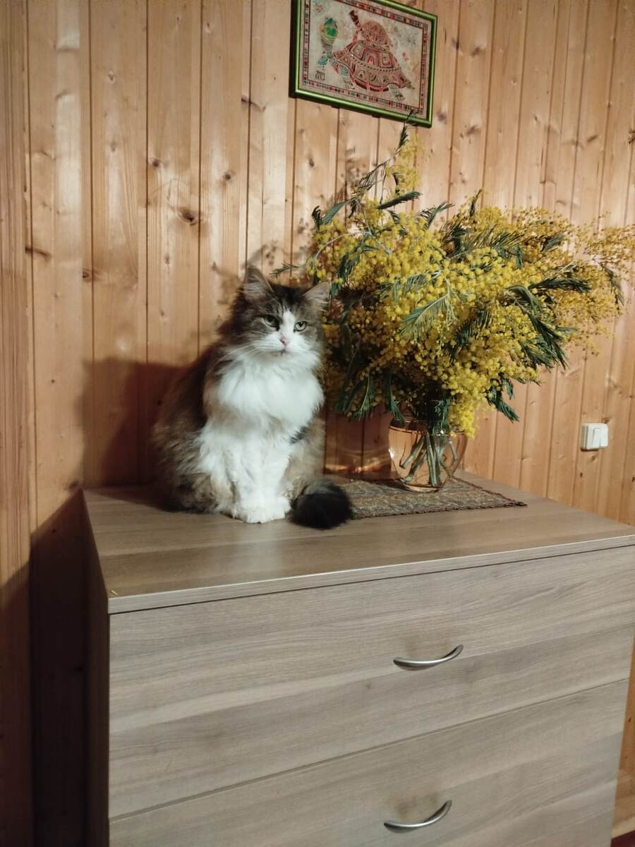 Марыся с букетом мимозы